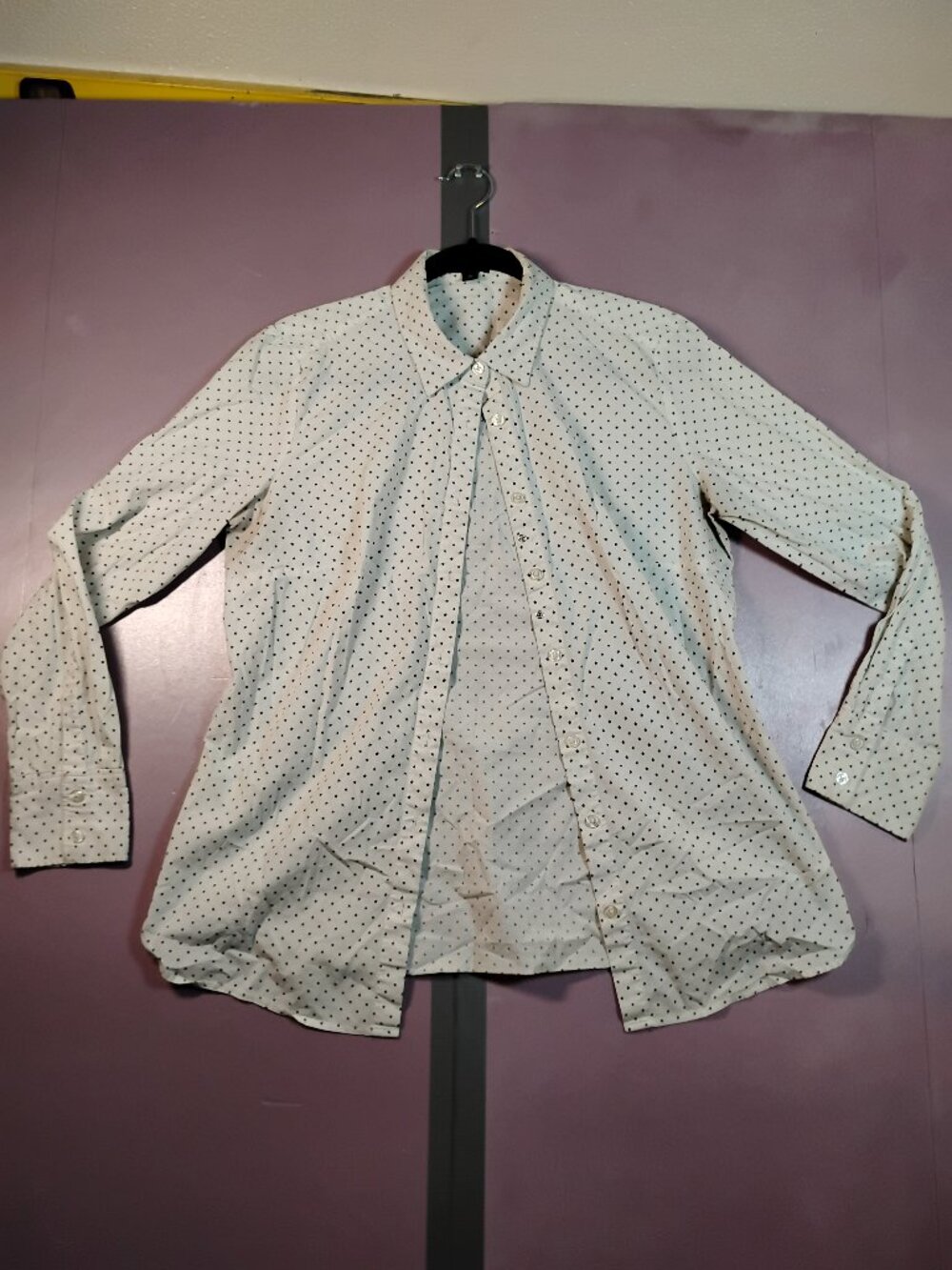 Ann Taylor Cream Polka Dot Button-Up Blouse Size 10